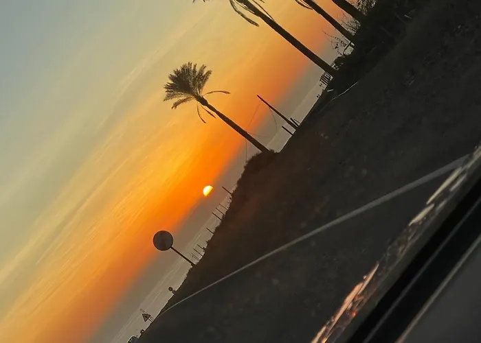 ホームステイ Altavista