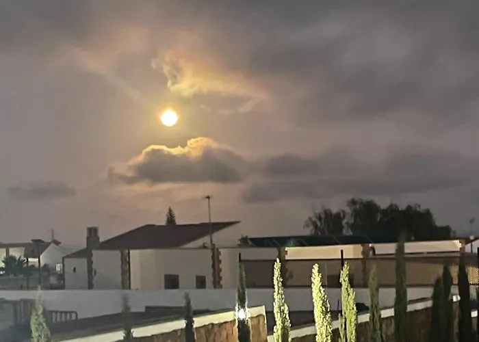 ホームステイ Altavista *